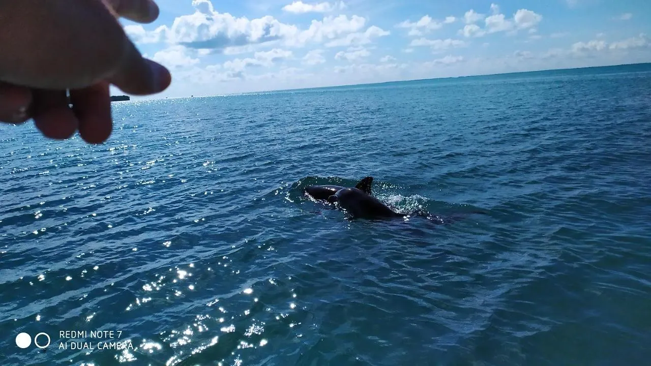Pensión Las Palapas de Punta Allen