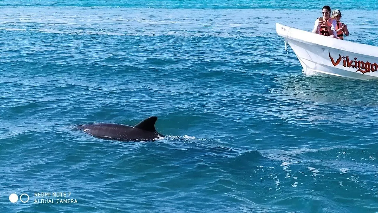 Las Palapas de Punta Allen