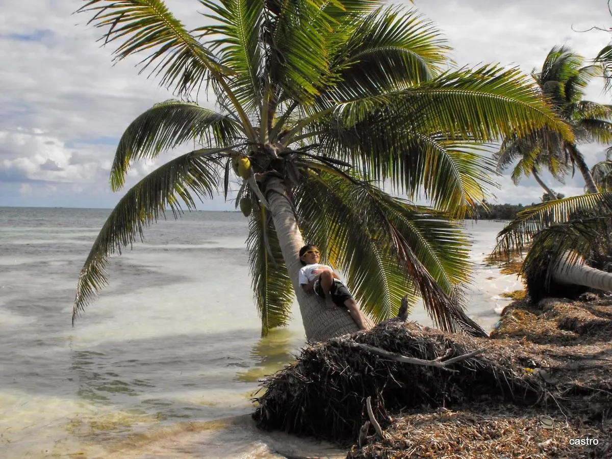 Las Palapas de Punta Allen Pensión