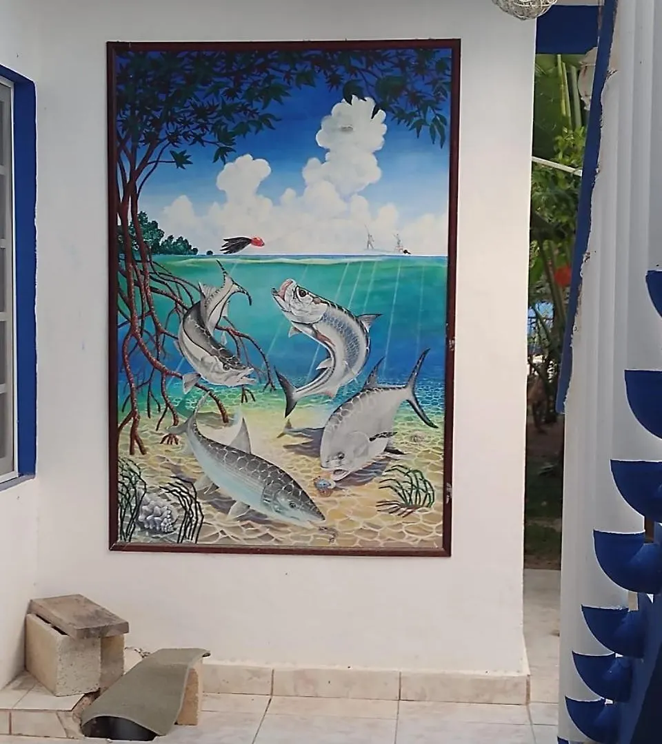Pensión Las Palapas de Punta Allen