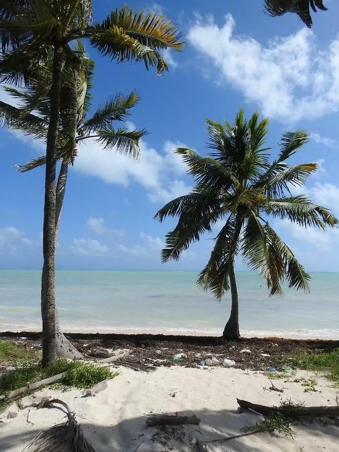 Pensión Las Palapas de Punta Allen
