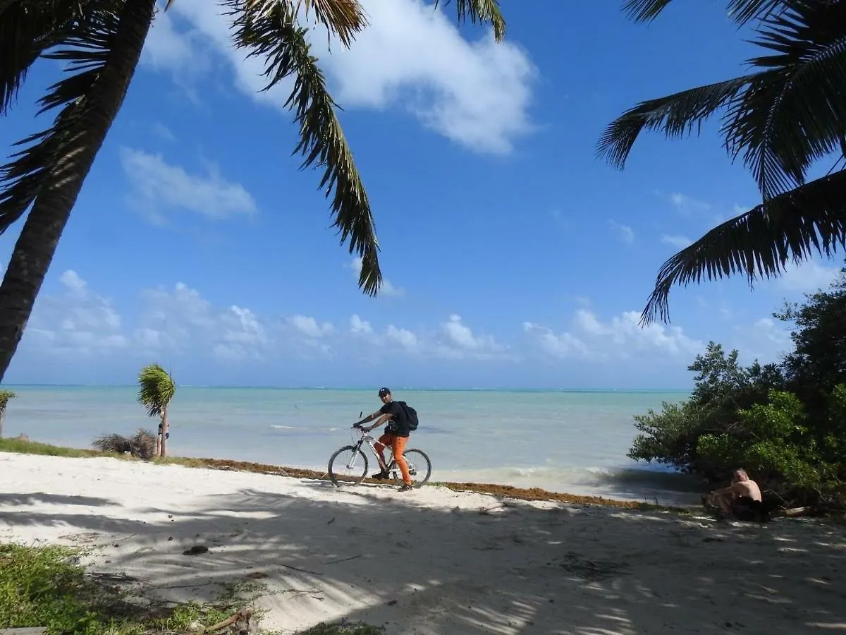 Las Palapas de Punta Allen