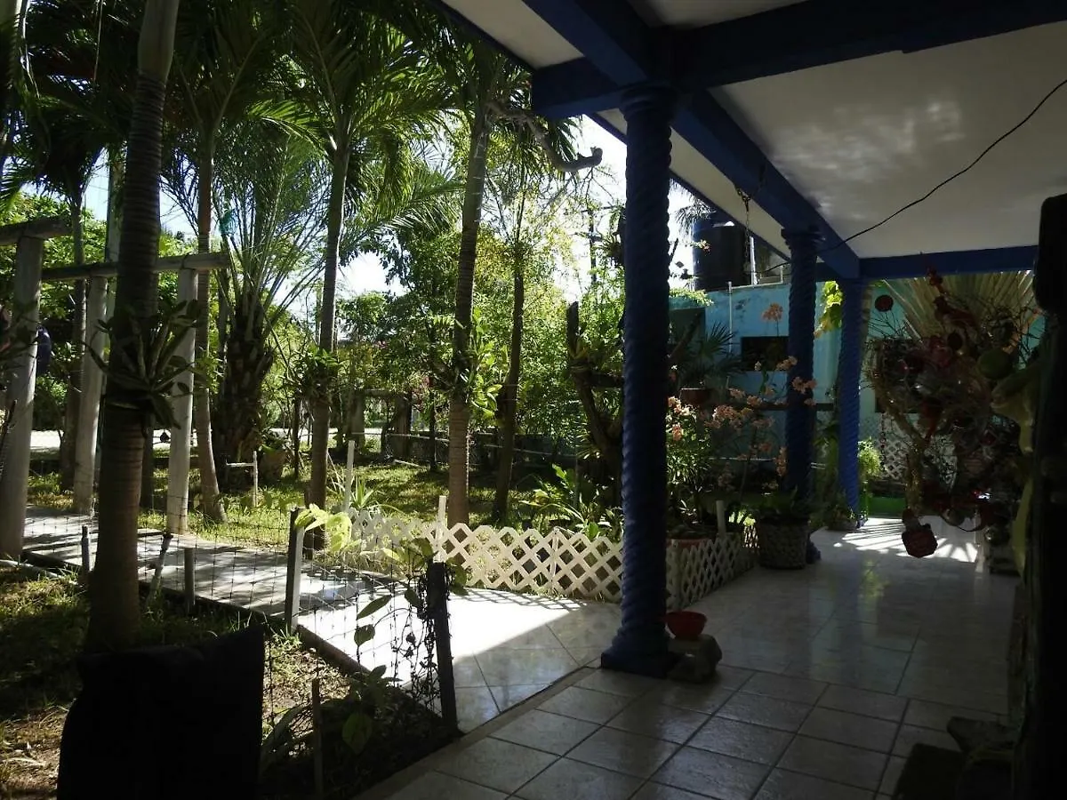 Las Palapas de Punta Allen 0*,