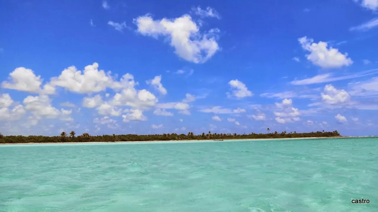Vendégház Las Palapas De Punta Allen