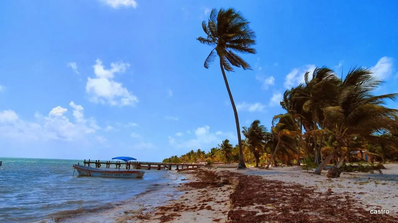 Las Palapas De Punta Allen Mexikó