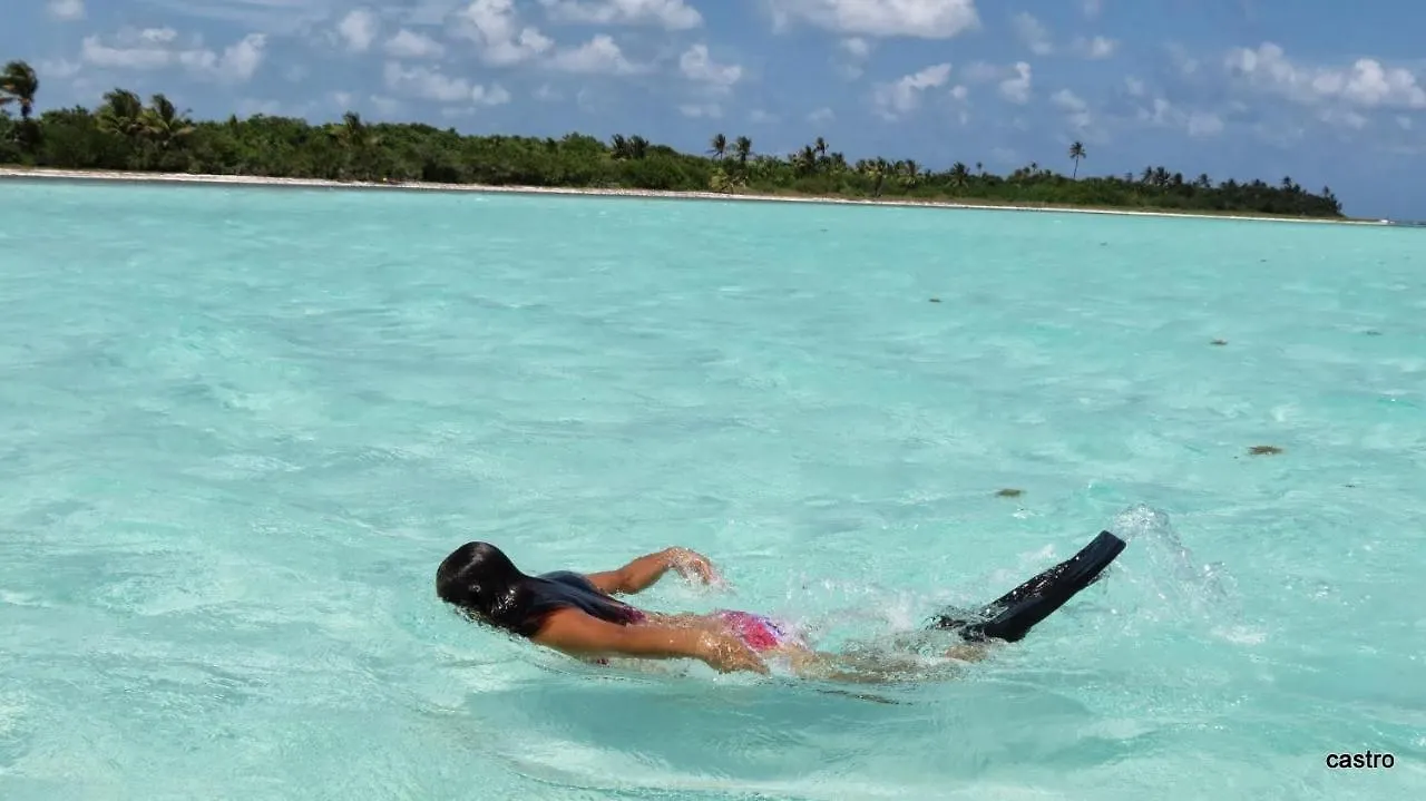Las Palapas De Punta Allen Vendégház