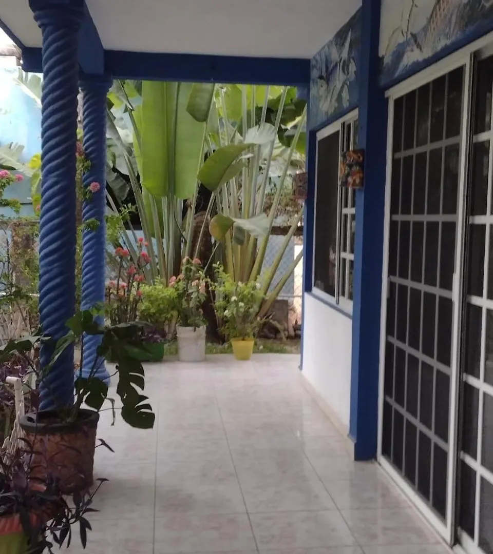 Las Palapas De Punta Allen 0*,  Mexikó
