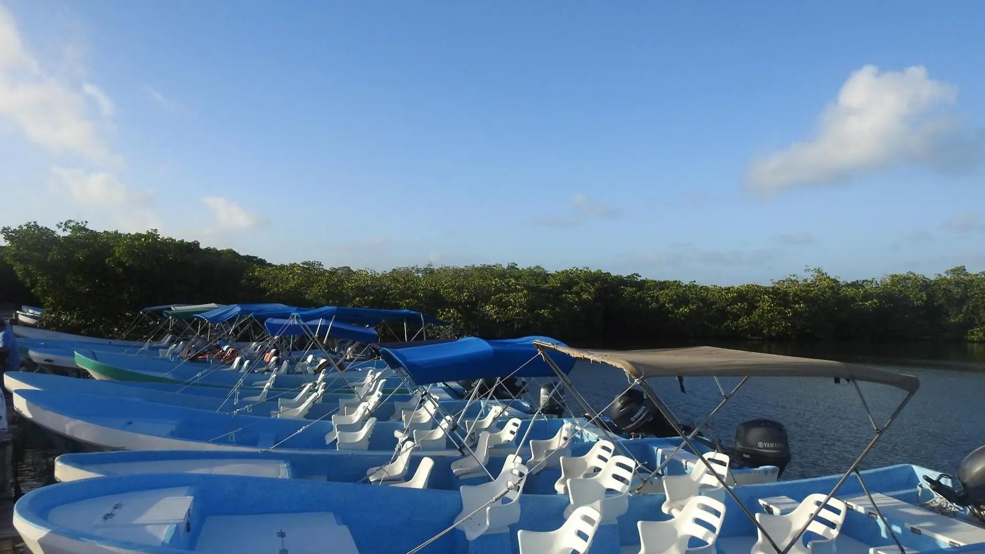 Las Palapas De Punta Allen Mexikó