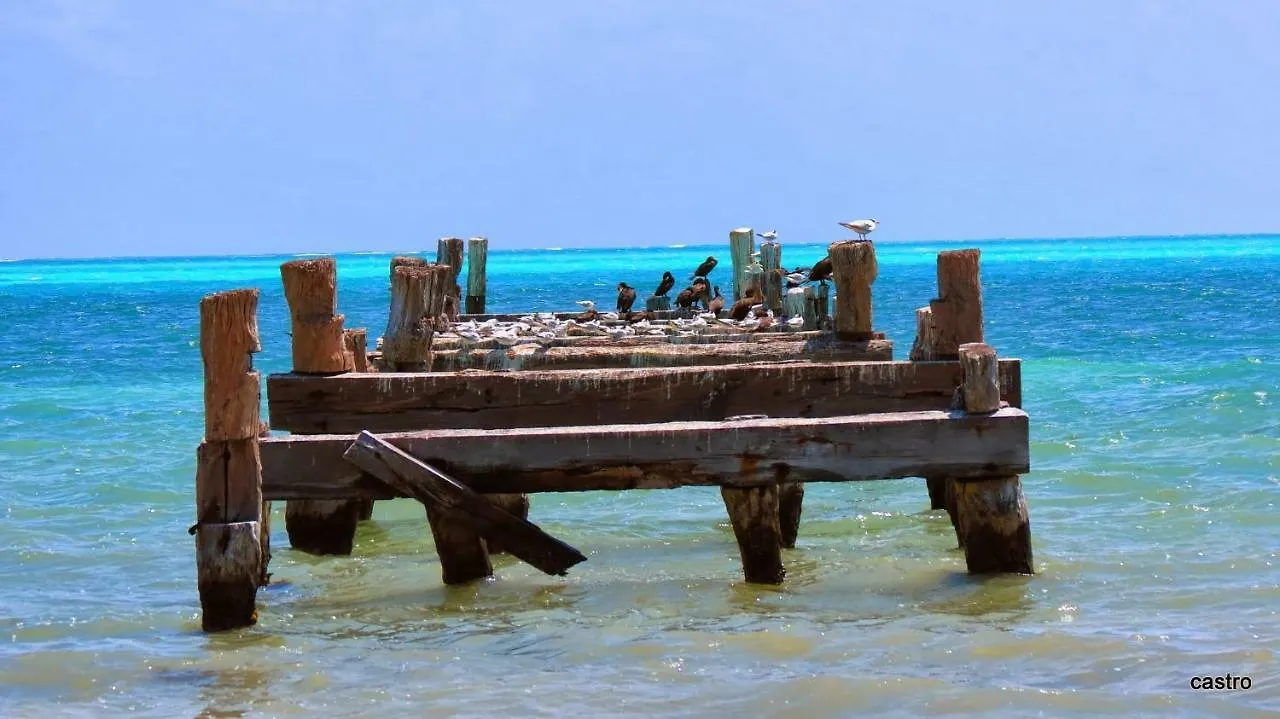 Vendégház Las Palapas De Punta Allen